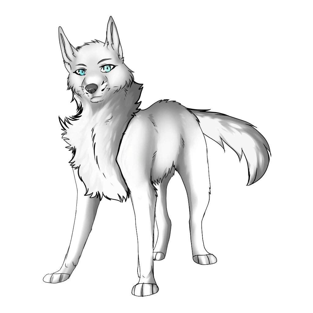 My wolf/Direwolf OCs | Wiki | Wolf Amino Amino