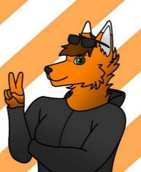 Matthias The Fox | Wiki | Furry Chill And Hang Out Amino