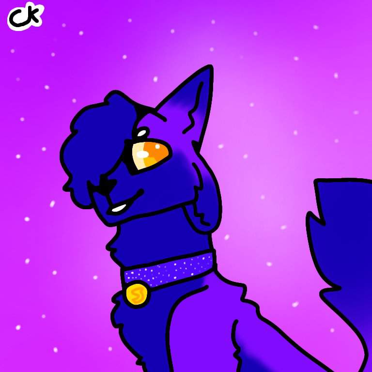 First Post! | Official Kittydog Amino Amino