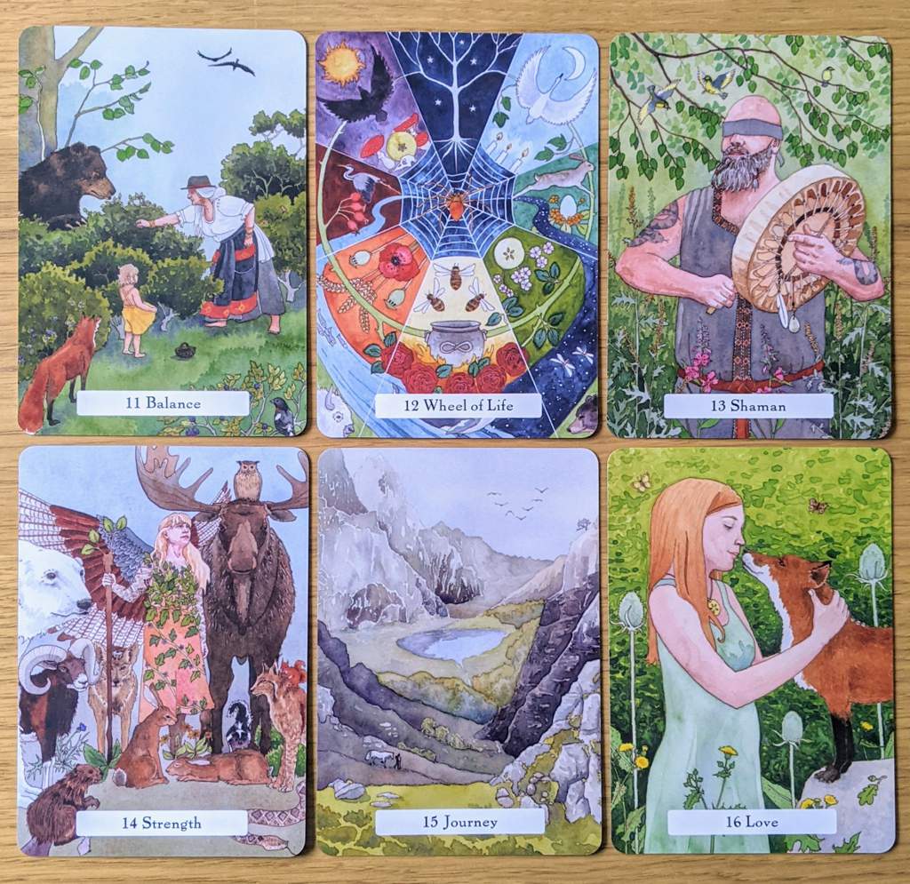The Witches' Wisdom Tarot Wiki Tarot and Divination Amino