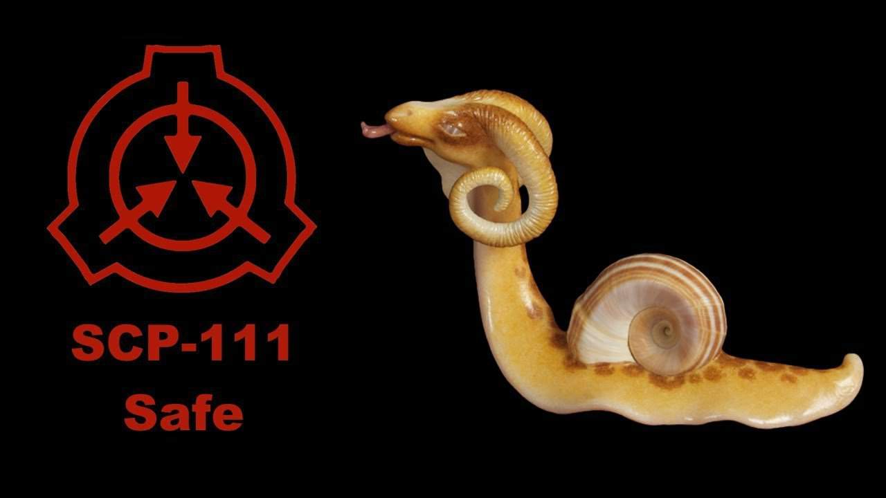 SCP - 111 – Драко-Улитки | Wiki | SCP Foundation [RUS] Amino