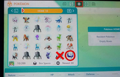 Selling Legendaries Ultra Beasts Event Pokemon Pokemon Sword And Shield Amino Pokemon Sword And Shield Amino