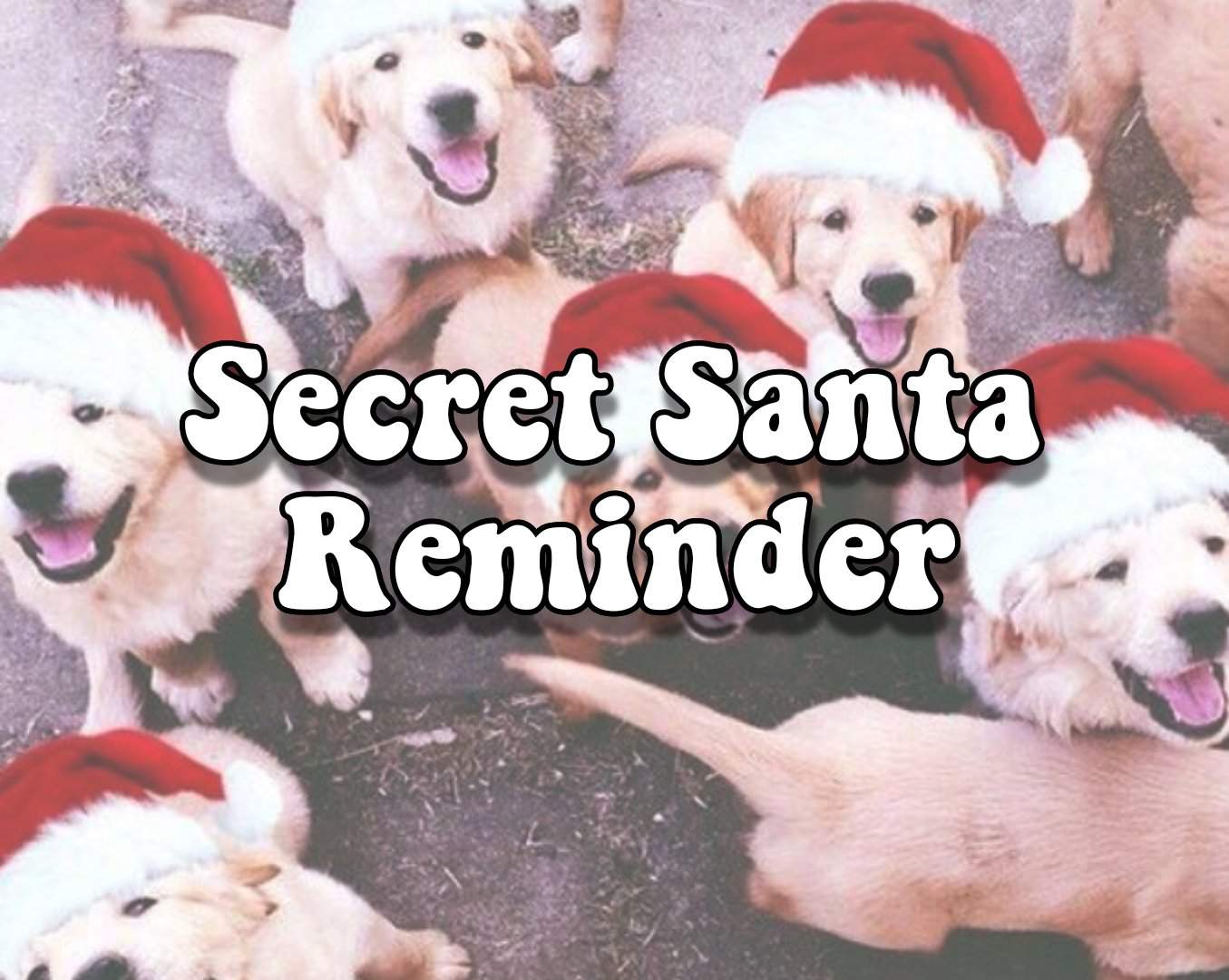 Secret Santa Reminder | Mr. Love: Queen’s Choice Amino