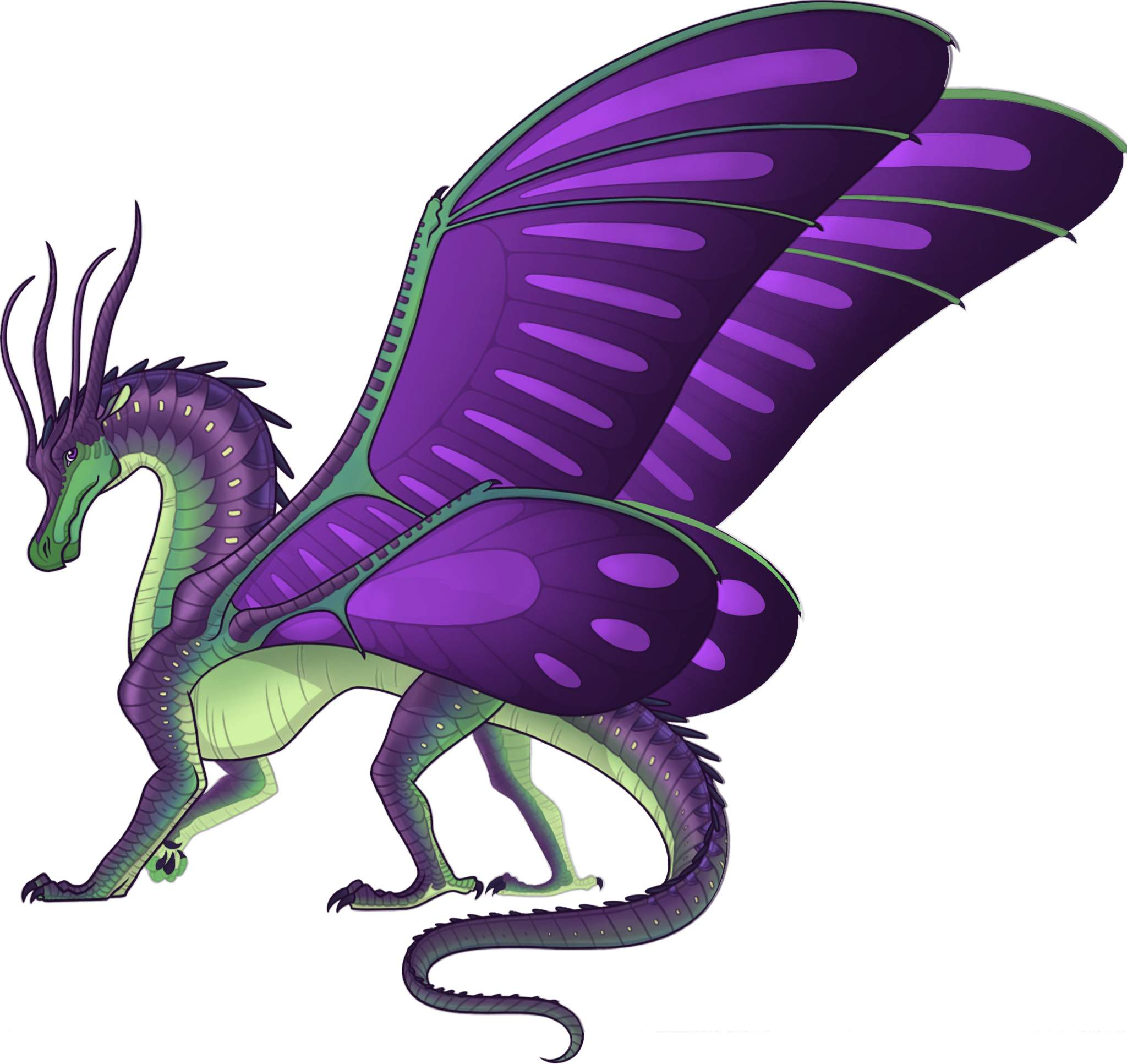 SilkWing Adopt 🦋 | Wings Of Fire Amino