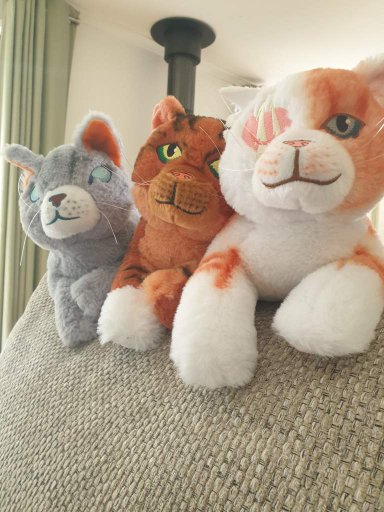 warrior cats jayfeather plush