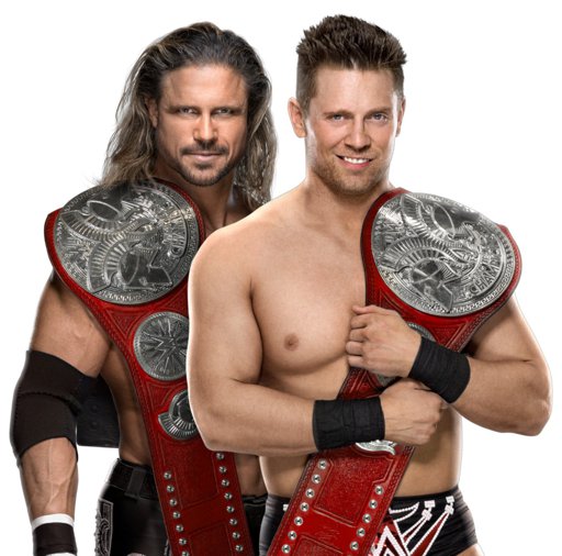 Wrestle me. Миз и Моррисон. Джон Миз. The Miz WWE. Ная и Шейна WWE tag Team Champions.