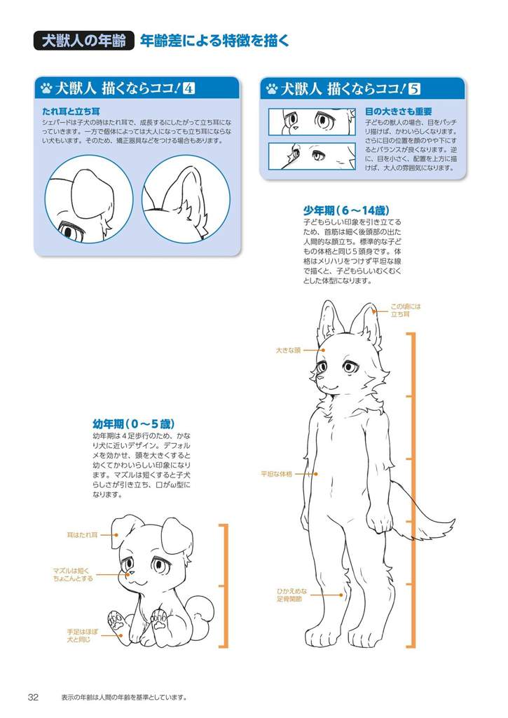 How to Draw Kemono P3 Wiki Furry Español Amino