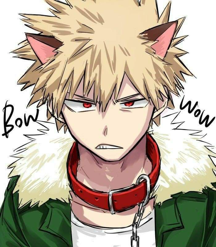 Bakugou Wolf ☆my Hero Academia Rp☆ Amino