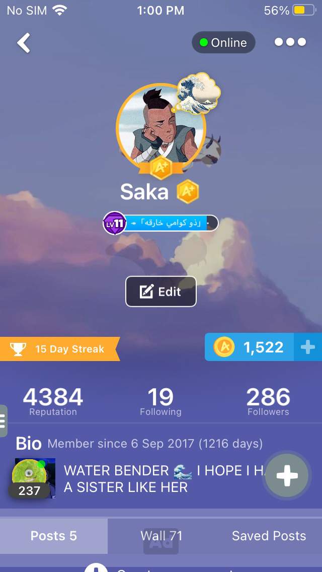 Profile No.1 | Wiki | Miraculous / Arabic Amino