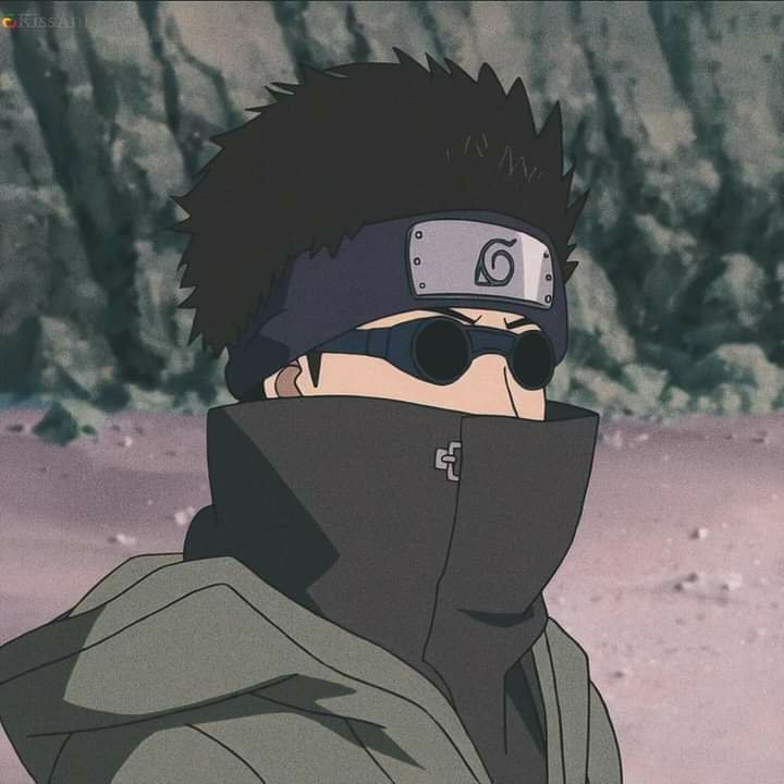 Shino👀🥰🥰 | Naruto Amino