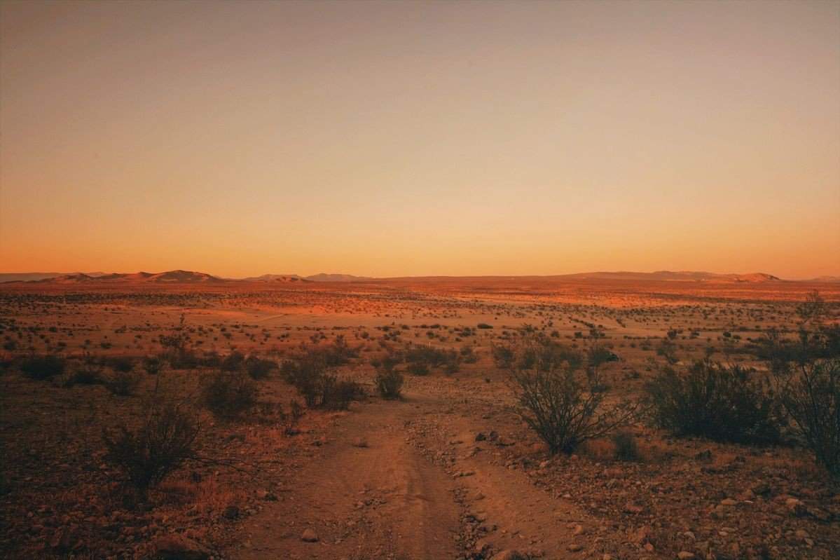 Калифорнийская пустыня с видом на город
