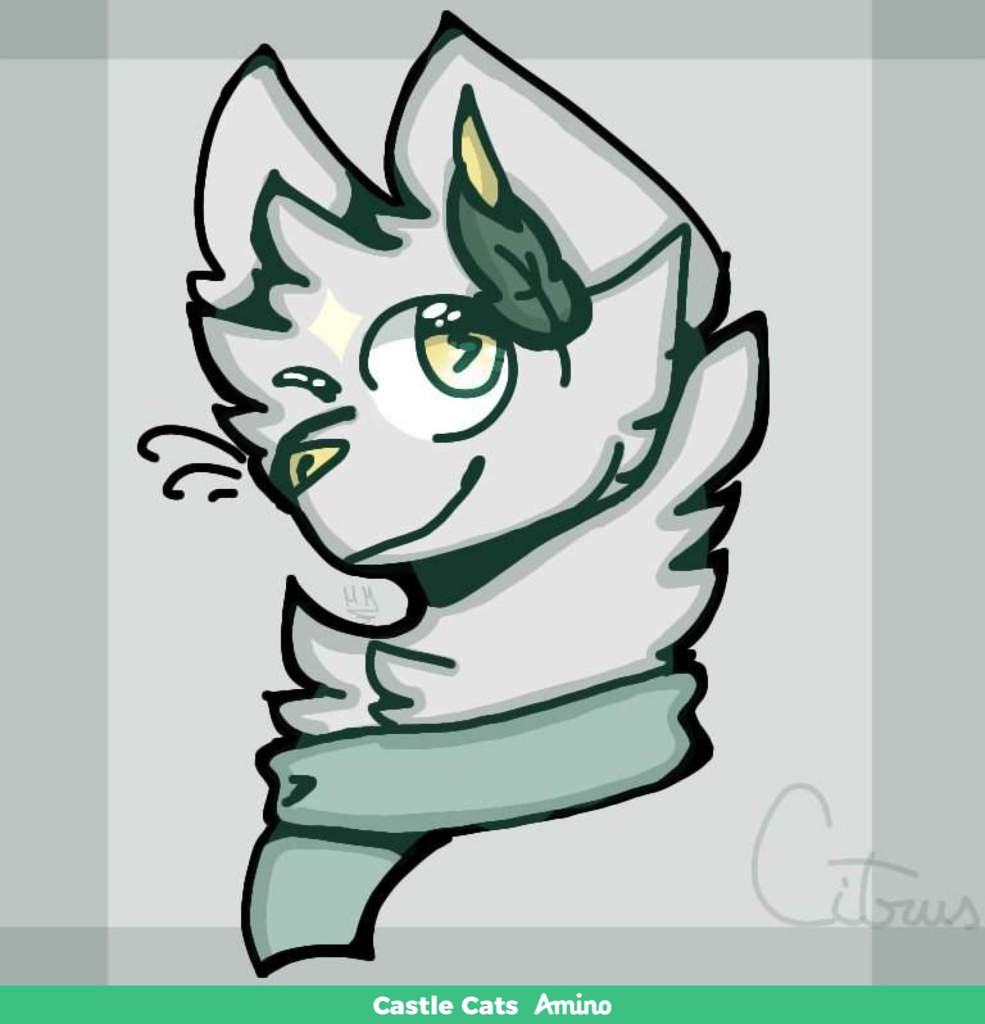 Commissions | Wiki | Castle Cats Amino Amino