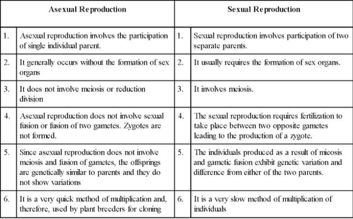 what is the most important difference between asexual reproduction and ...