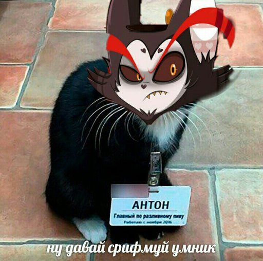 Смешные мемы отель хазбин