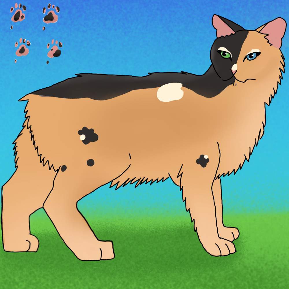 Two Face | Wiki | Warrior Cats🐾🐾 Amino