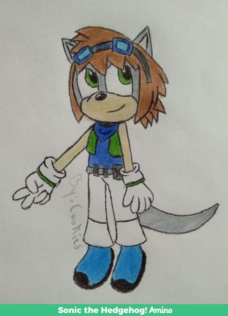 Hiro The Kangaroo | Wiki | Sonic the Hedgehog! Amino