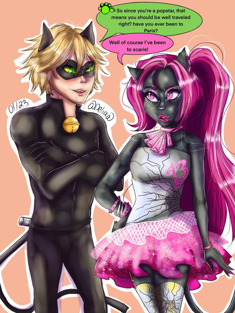 Cat Noir and Catty Noir 🐾💕 Mh and Ml vibez | Miraculous Amino