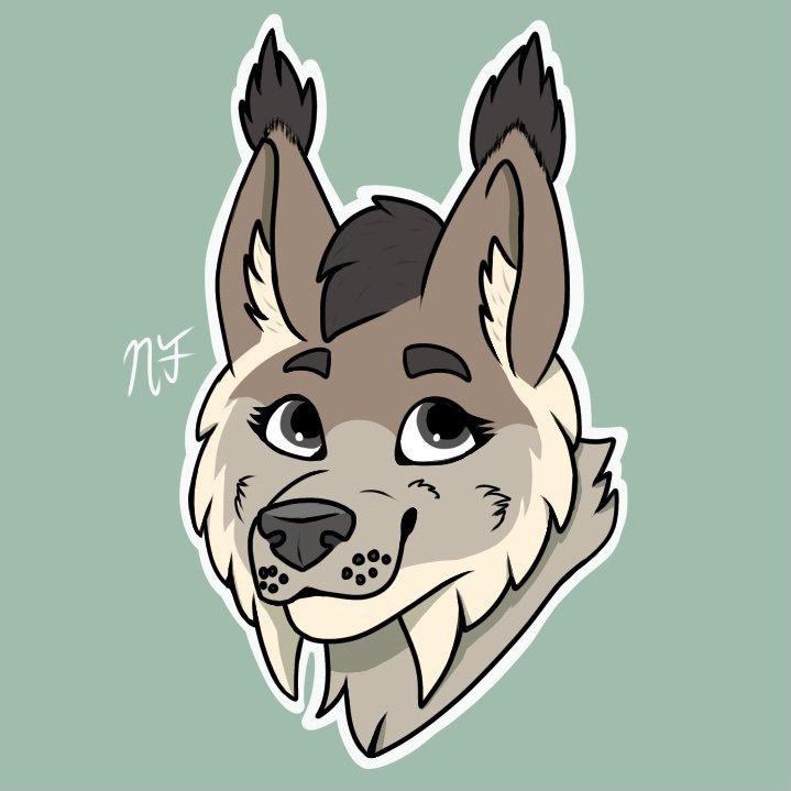 Bailey | Wiki | Furry Amino