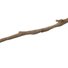 amino-smol twig-5103b32e