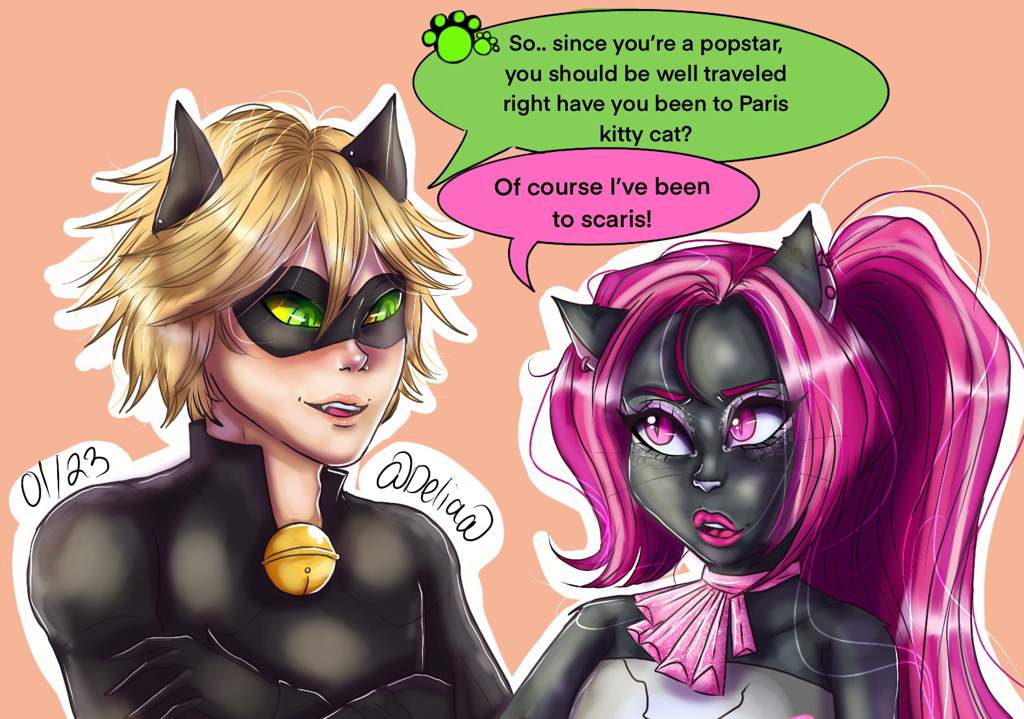 Cat Noir and Catty Noir 🐾💕 Mh and Ml vibez | Miraculous Amino