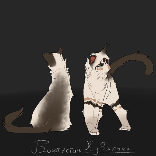 Красивые скины в роблокс коты воители. Warrior Cats скины. Коты Воители РОБЛОКС. Идеи для котов в Warrior Cats. Скины для котов воителей в РОБЛОКС.