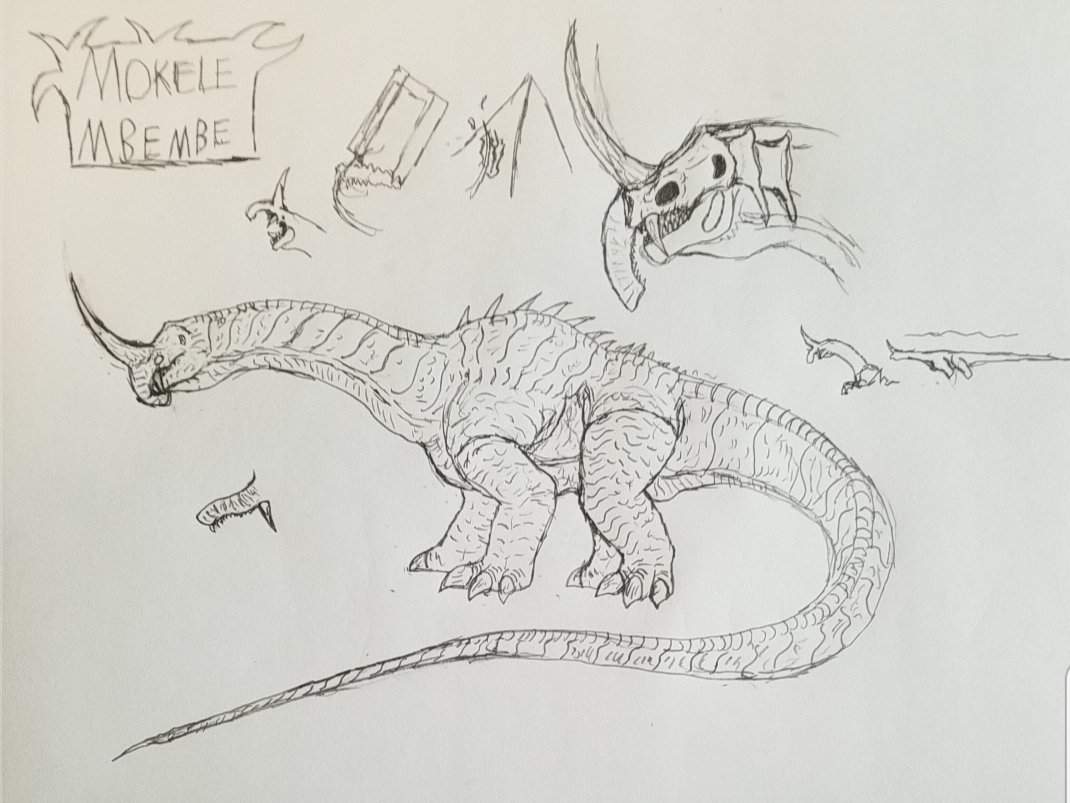 Mokele Mbembe Sketch | Godzilla Amino