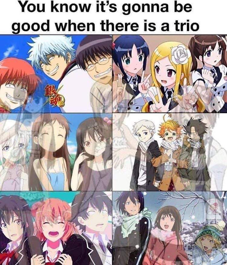 Who’s your favorite anime trio? | Anime Amino