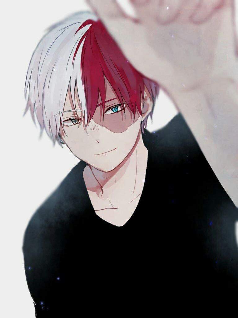 Todoroki-Chan | Shoto Todoroki Lovers Amino