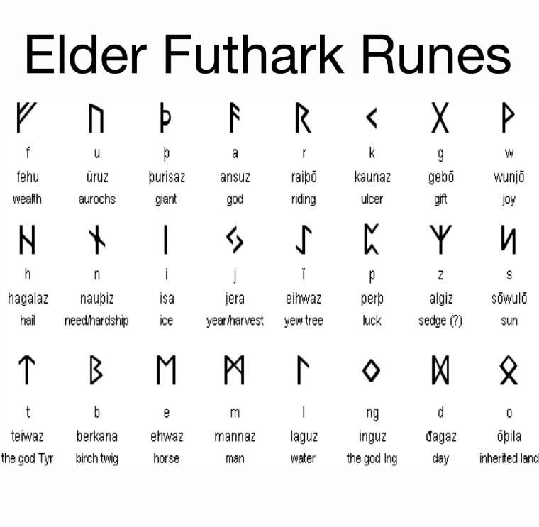 elder futhark runes vector