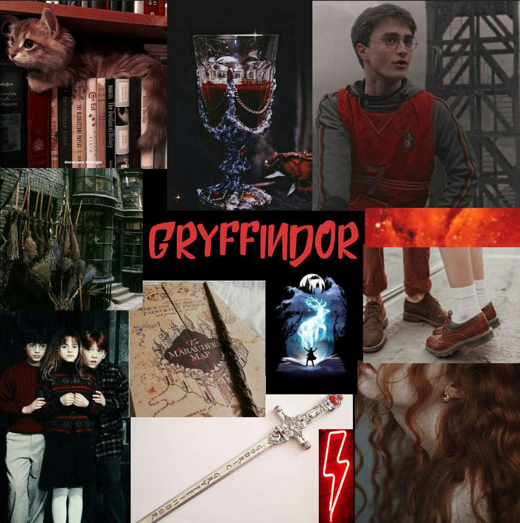 Hogwarts houses aesthetic and characteristics explanation | Harry ...