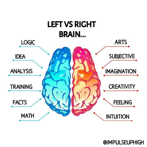 Left side of your brain | Wiki | shifting! Amino