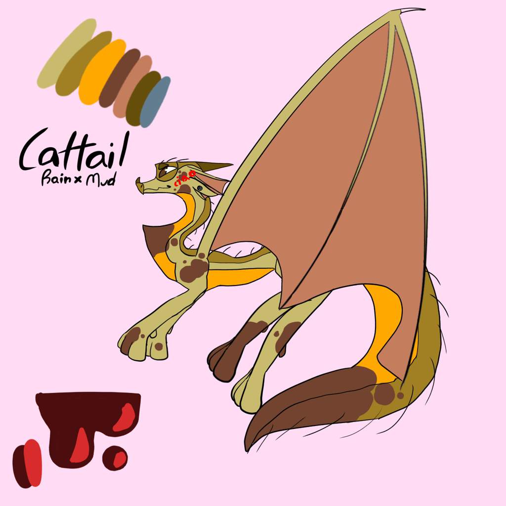 cattail | Wiki | Wings Of Fire Amino