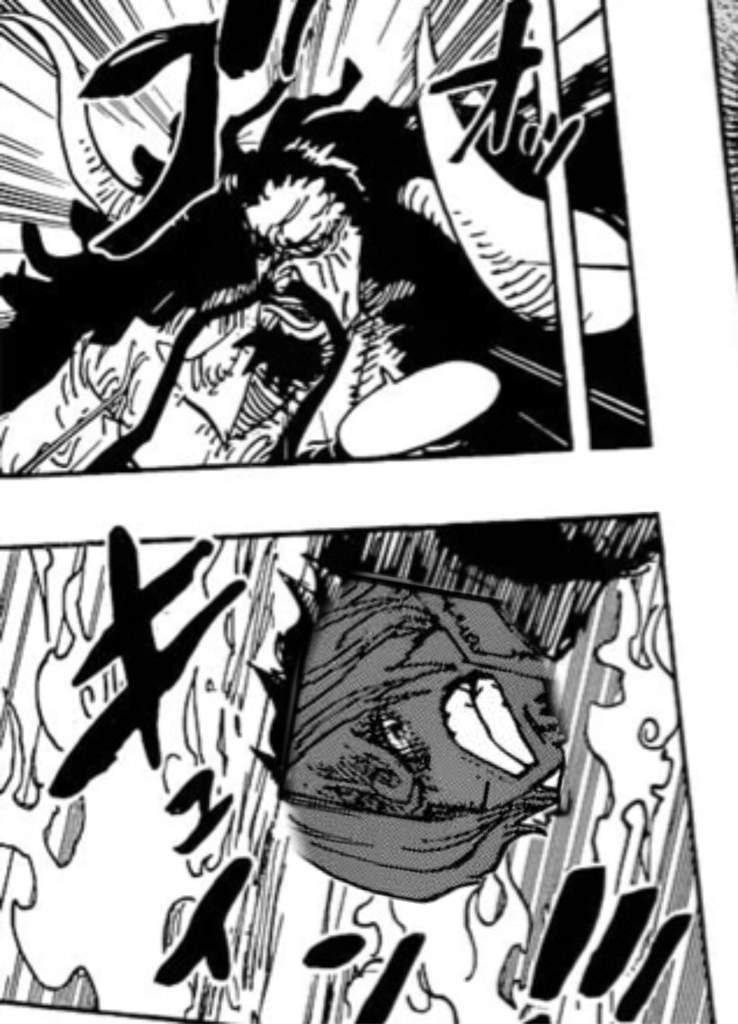 Chapter 1003 Spoiler Scans One Piece Amino