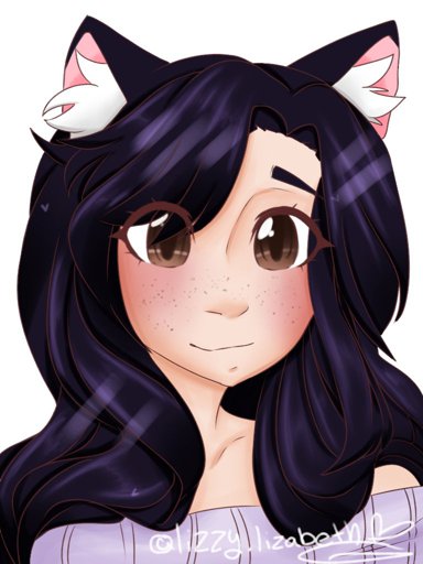 OC Template! | Wiki | Aphmau Amino