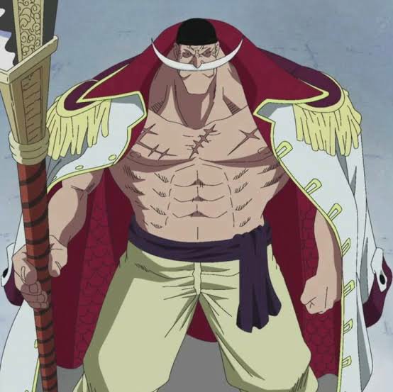 Whitebeard Coat | One Piece Amino