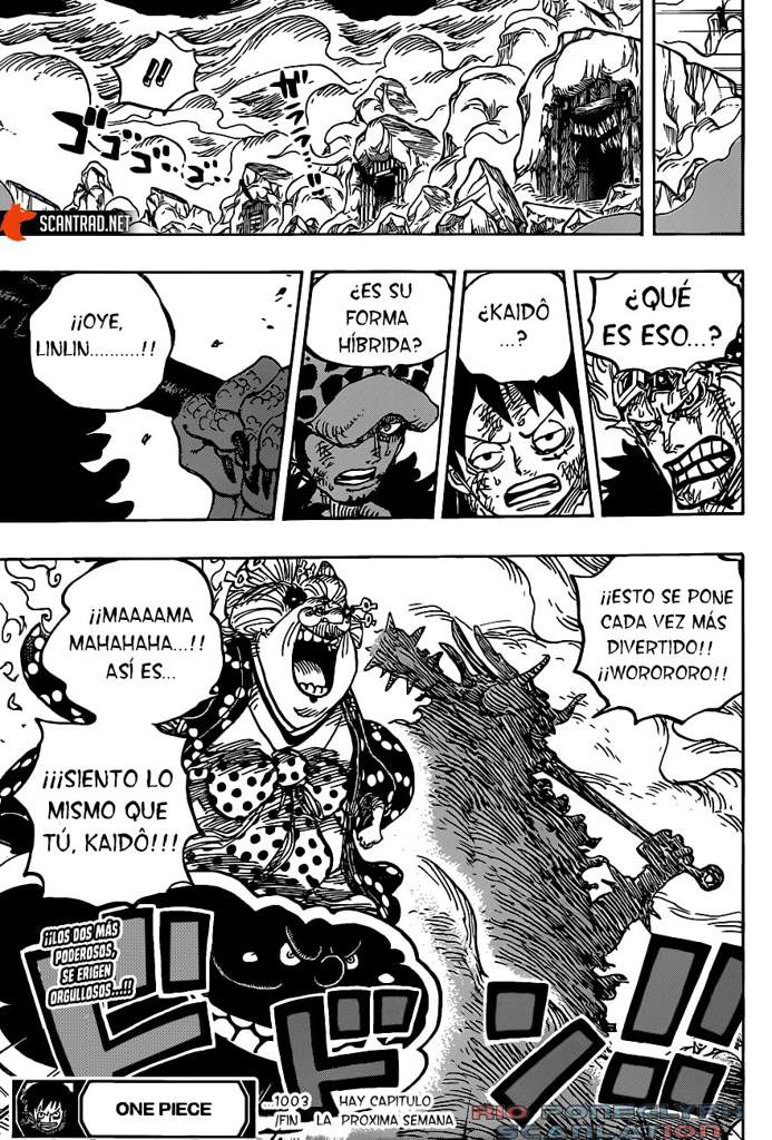 Capitulo 1003 One Piece Amino