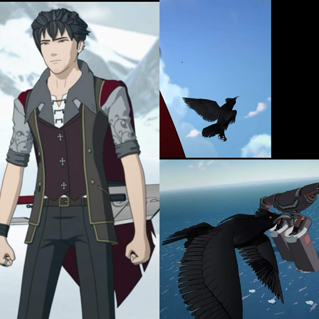 Branwen Ornithology Rwby Amino