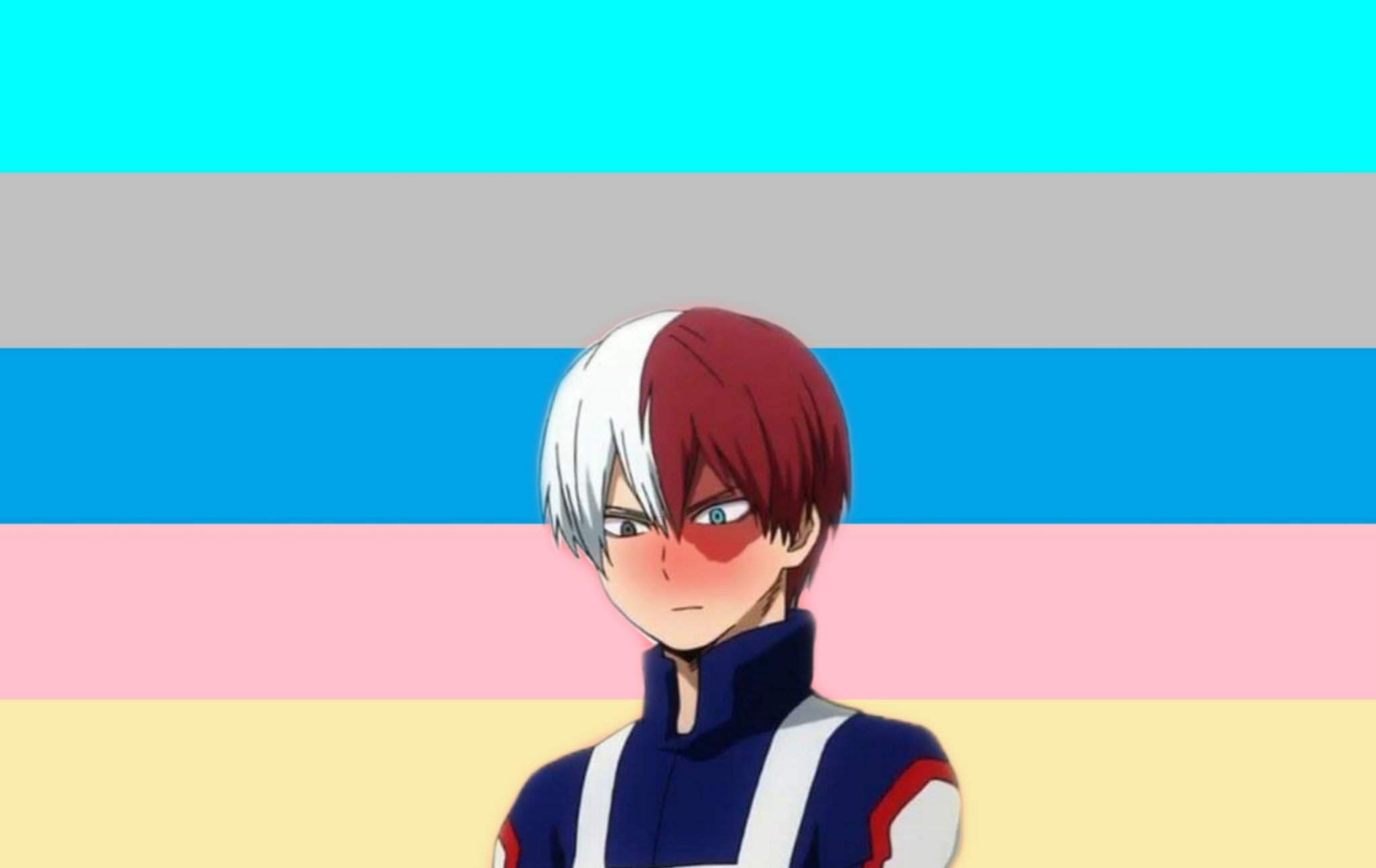 Todoroki Animesexual flag | Anime Amino