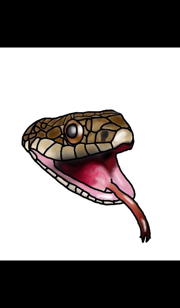 Snek Blep | Snake Amino Amino