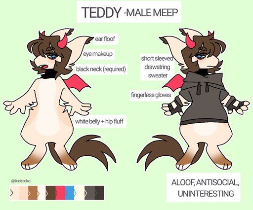 teddy | Wiki | Meep Species Amino