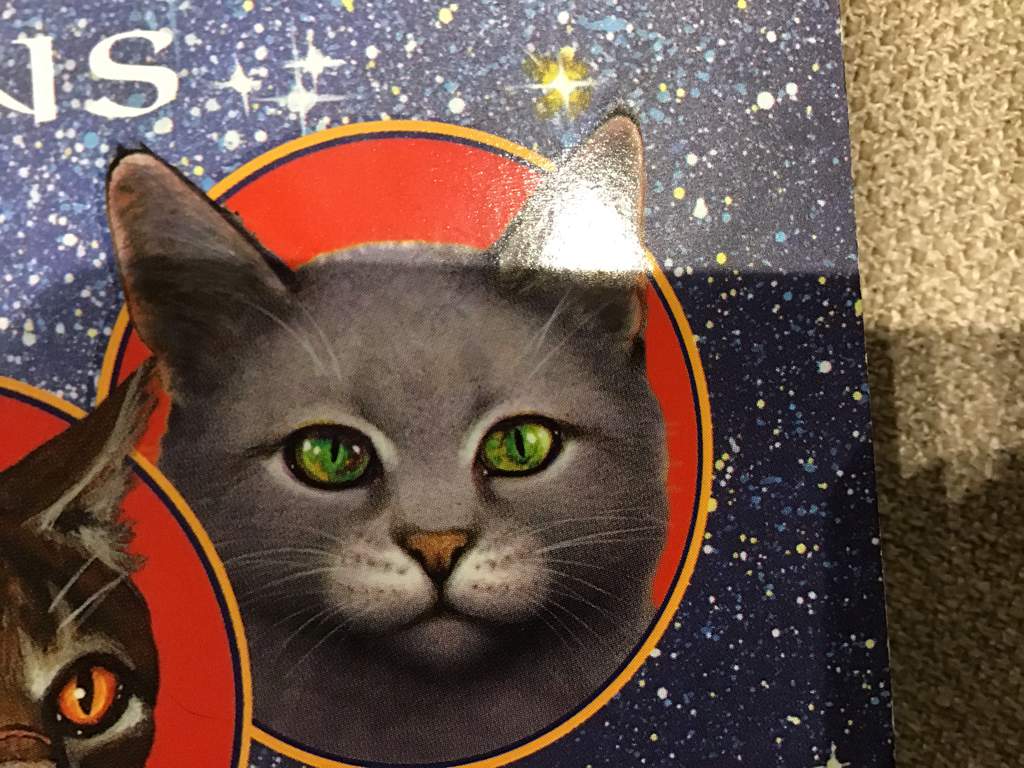 Fire and Ice by Erin Hunter Fire and Ice by Erin Hunter