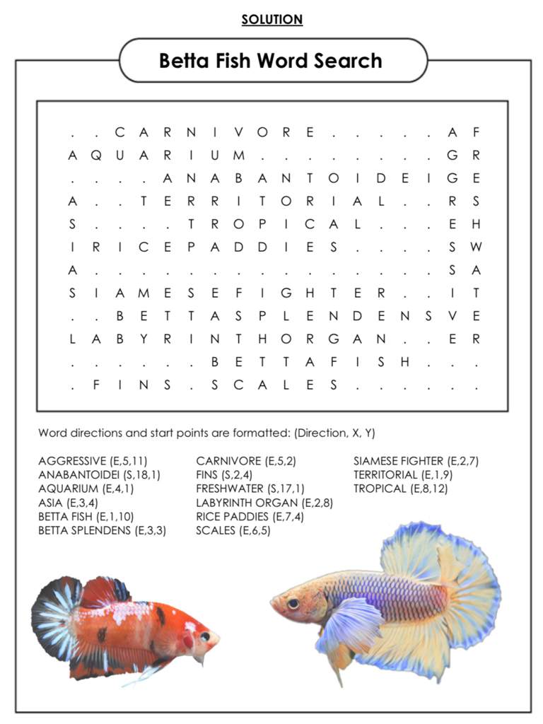 Bka10kcelebration Day 5 Betta Keepers Amino