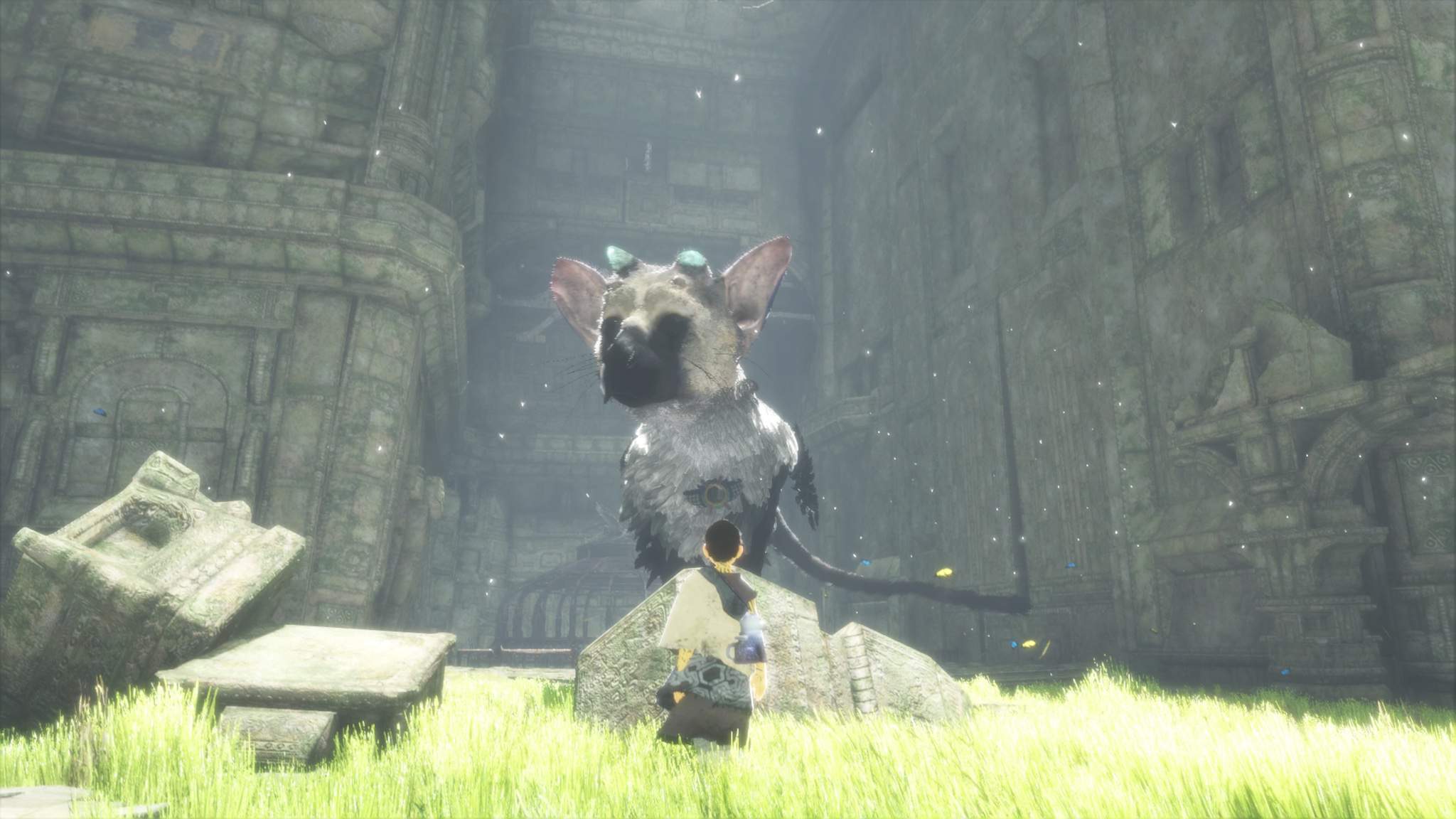 Yedero | Wiki | Last Guardian Amino