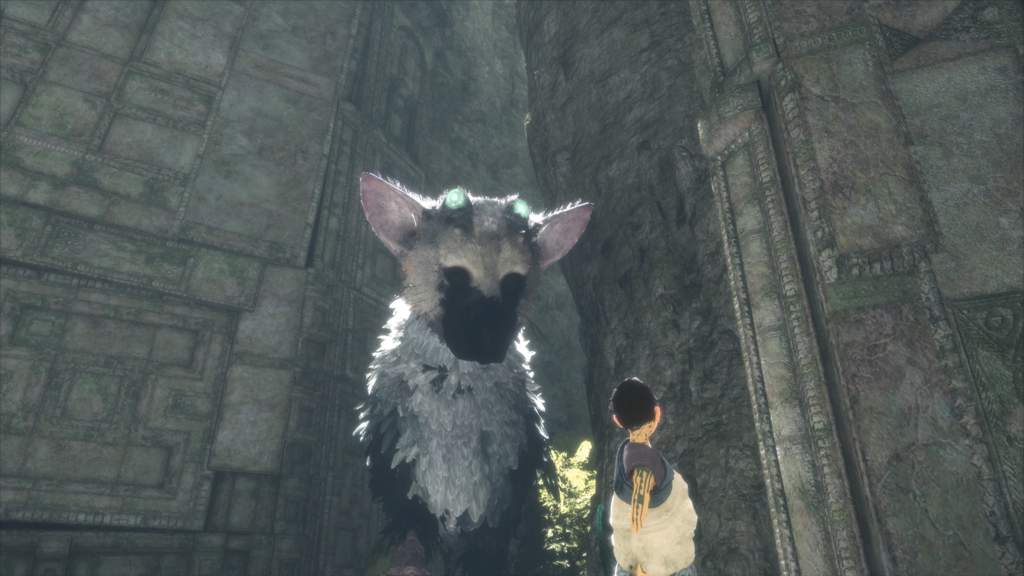 Yedero | Wiki | Last Guardian Amino