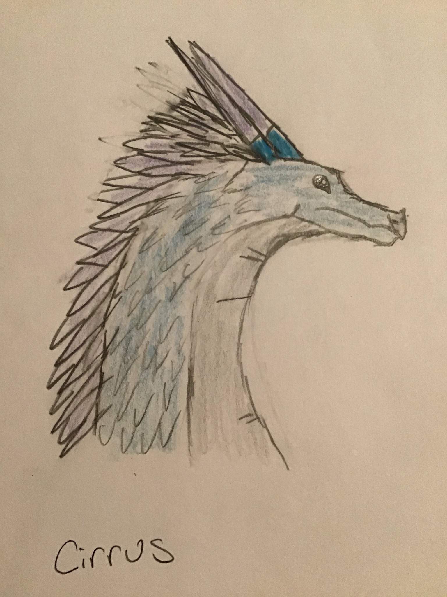 Cirrus | Wiki | Wings Of Fire Amino