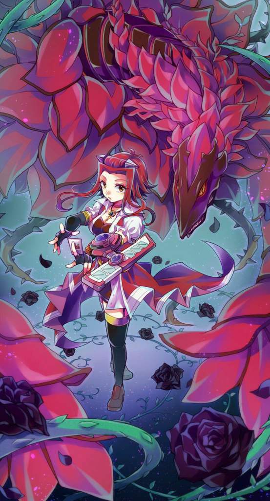 🌹Black Rose Dragon - My Favorite Card🌹 | Duel Amino 🌹Black Rose Dragon - My Favorite Card🌹 | Duel Amino