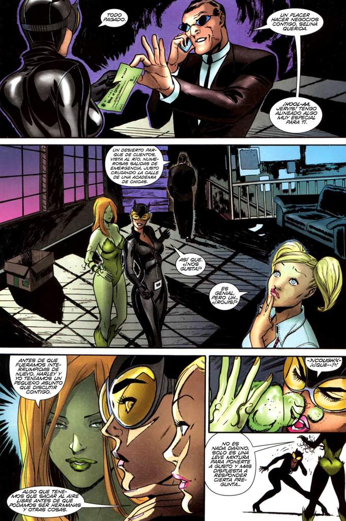 Gotham City Sirens #1 | Wiki | ｢ • DC Universe • ｣ Amino