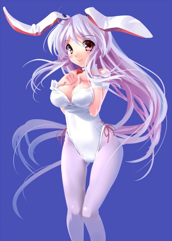 Sexy anime bunny girls.