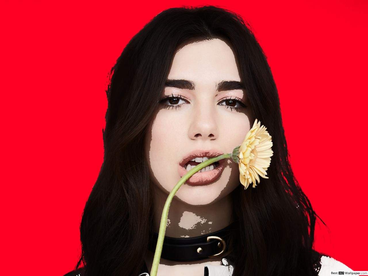 🌈 Dua Lipa 💕 | Wiki | •Dua Lipa• Amino