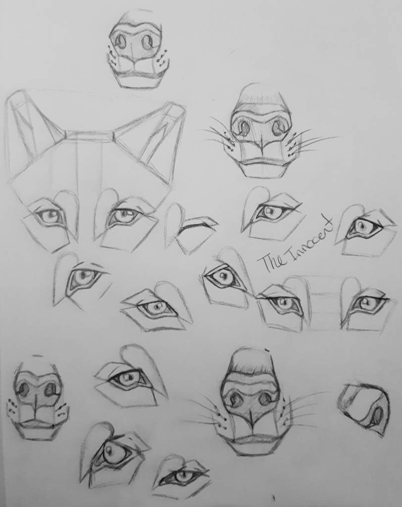 How to draw a wolf's eye. 🐺🔎 👀 | 